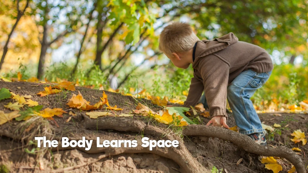 Un enfant grimpe sur des racines d’arbre en extérieur, développant sa motricité globale et sa conscience spatiale.