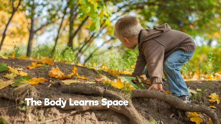Un enfant grimpe sur des racines d’arbre en extérieur, développant sa motricité globale et sa conscience spatiale.