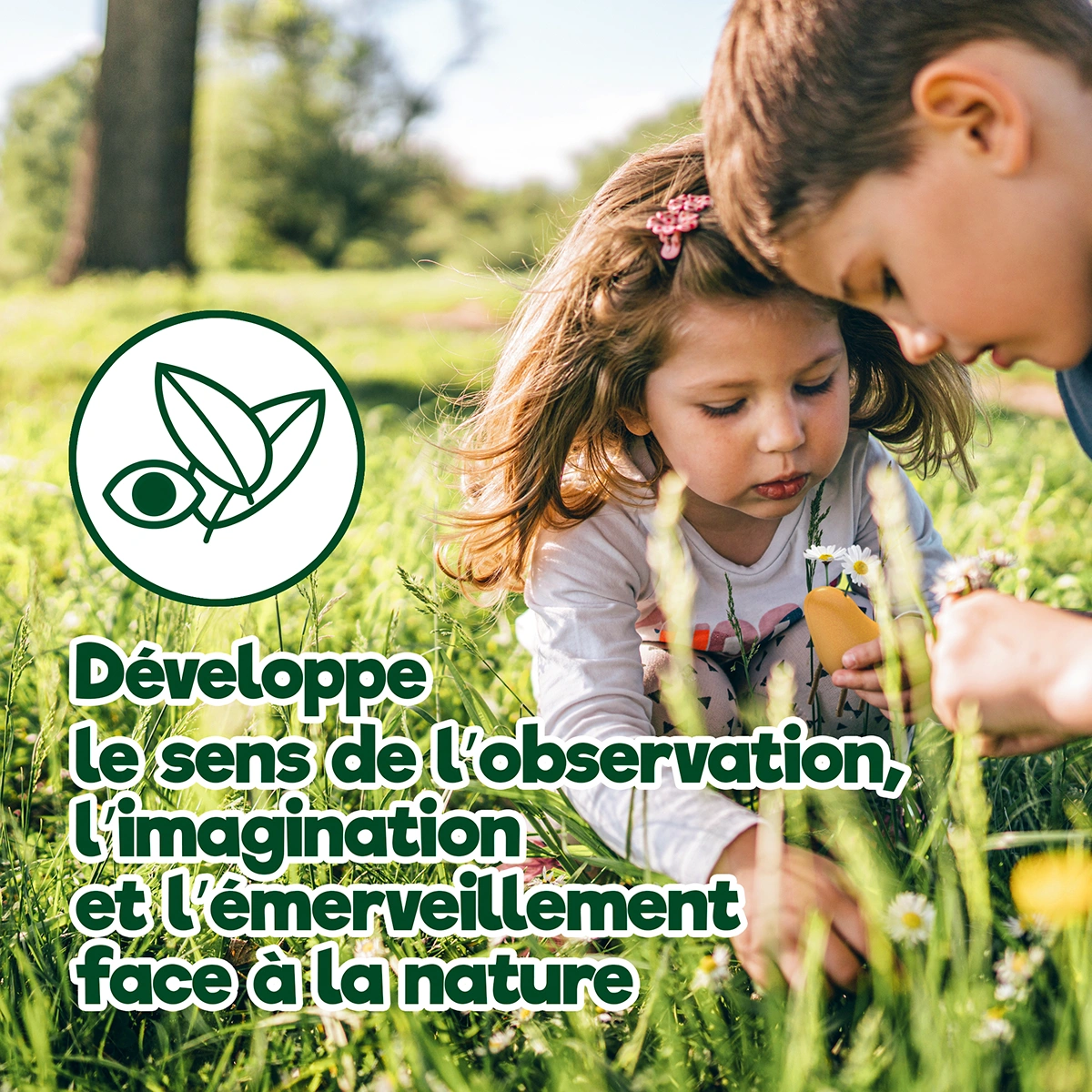 Avec Locomo, les enfants développent leur sens de l’observation, leur imagination et leur émerveillement en explorant la nature.